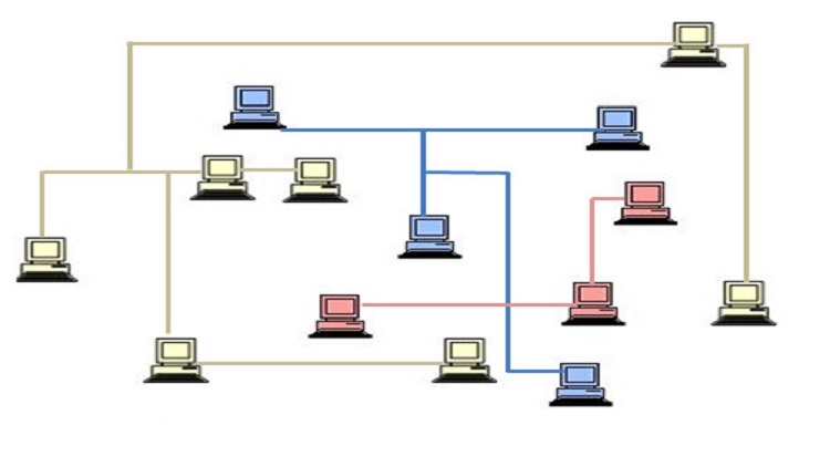 Easy Virtual Network (EVN)