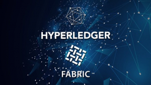 Hyperledger Fabric 2.x - First Practical Blockchain
