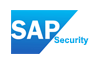 Learn SAP Security